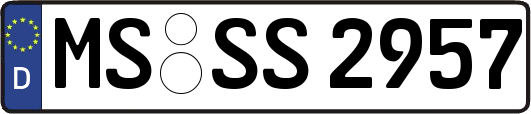 MS-SS2957
