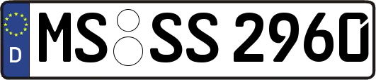 MS-SS2960