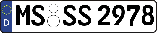 MS-SS2978