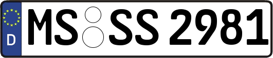 MS-SS2981