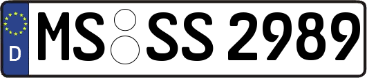 MS-SS2989