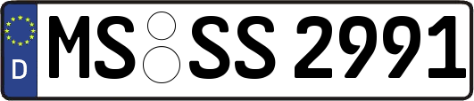 MS-SS2991
