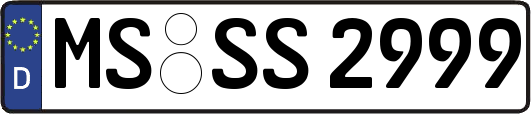 MS-SS2999
