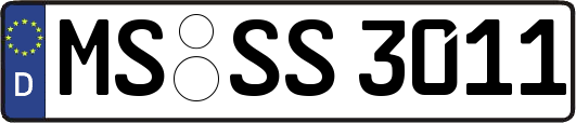 MS-SS3011
