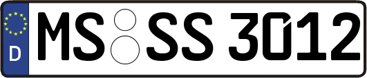 MS-SS3012