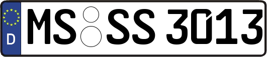 MS-SS3013