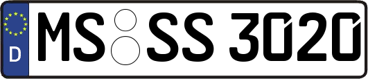 MS-SS3020