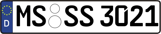 MS-SS3021