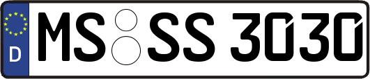 MS-SS3030
