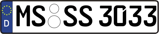 MS-SS3033