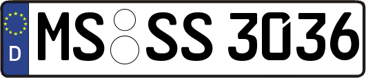 MS-SS3036
