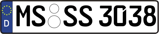 MS-SS3038