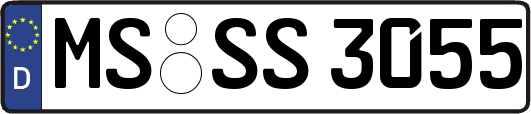 MS-SS3055