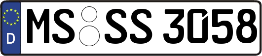 MS-SS3058