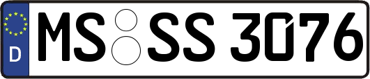 MS-SS3076