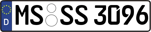 MS-SS3096