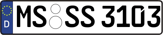 MS-SS3103