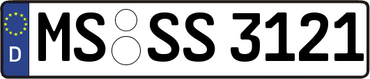MS-SS3121