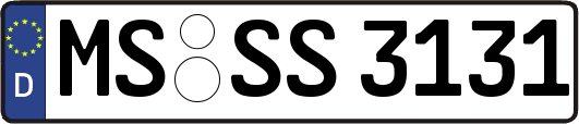 MS-SS3131