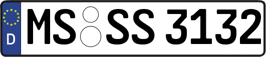 MS-SS3132