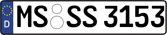 MS-SS3153