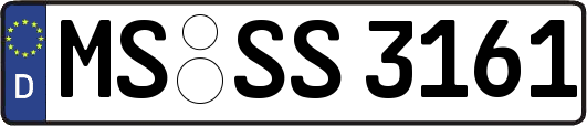 MS-SS3161