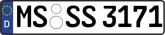 MS-SS3171