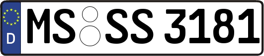 MS-SS3181