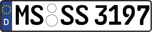 MS-SS3197