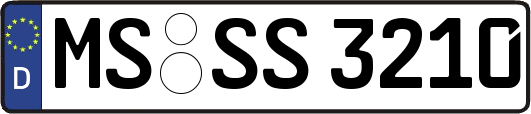 MS-SS3210