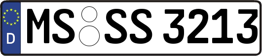 MS-SS3213