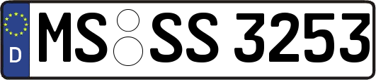 MS-SS3253