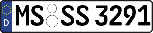 MS-SS3291
