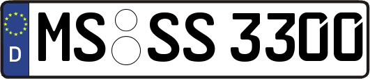 MS-SS3300
