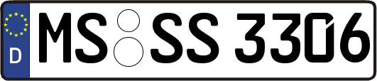 MS-SS3306