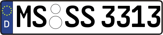 MS-SS3313