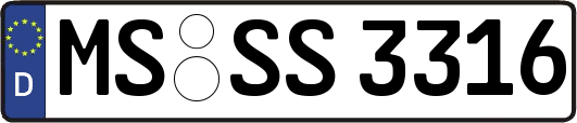 MS-SS3316