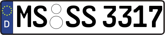 MS-SS3317