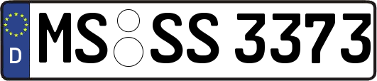 MS-SS3373