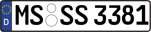 MS-SS3381