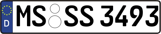 MS-SS3493