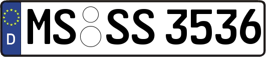 MS-SS3536