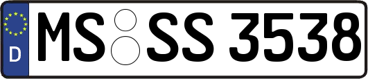MS-SS3538