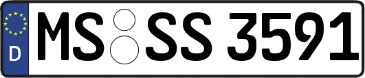 MS-SS3591