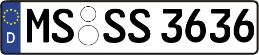 MS-SS3636