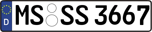 MS-SS3667