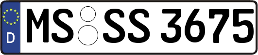 MS-SS3675
