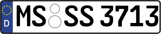 MS-SS3713