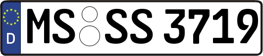 MS-SS3719