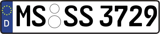 MS-SS3729